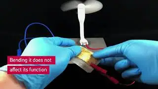 Paper-based flexible batteries - they completely disintegrate after discharging.