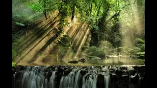 Gentle Forest Stream 🌿 Peaceful Nature Sounds for Calm, Focus & Quiet Reflection
