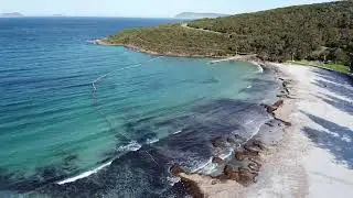 Middleton Beach Sharknet
