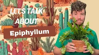 Let's Talk about Epiphyllum (Disocactus)