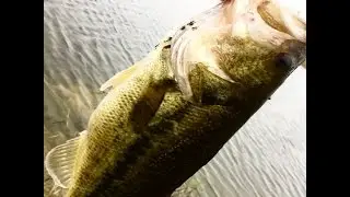 hat cam bass fishing fail
