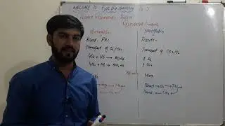 Comparison of Respiratory Pigments: Hemoglobin and Myoglobin and their Role in Respiration