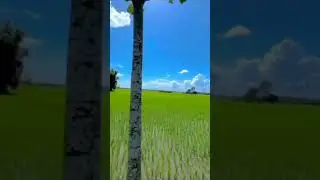 ufff 🔥❤️ #nature #viral #assam
