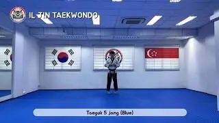 Taegeuk 5 jang (Blue belt)/ 태권도/ 품새/ 태극 5장/ Pattern/ Taekwondo/ ILJIN Taekwondo/ Singapore