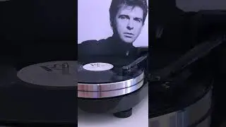 Let&rsquo;s spin Sledgehammer by Peter Gabriel  #banger #petergabriel #80smusic #vinyl #popmusic
