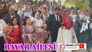 FERHAT BAYAR'IN GÖRKEMLİ DÜĞÜNÜ Şırnak düğünleri 🍃 #sirnakcity