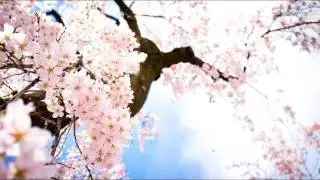 الشحات محمد أنور- ماتيسر من س. البقرة - وَإِنَّكَ لَمِنَ الْمُرْسَلِينَ - الأية رقم(252)