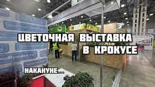 Цветочная выставка в Крокус Экспо. Накануне 