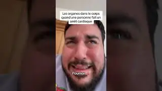 Les organes dans le corps quand une personne fait un arr&ecirc;t cardiaque