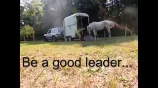 Natural- horsemanship | TRAILER LOADING