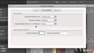 How to Prevent Lightroom&rsquo;s Previews File from Taking Over the Hard Drive