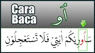 CARA BACA WAU TANPA HAROKAT SETELAH HAMZAH (اُو ) BELAJAR TAJWID