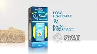 SWAT fly protection for horses