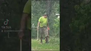 dropping couple dead trees #pinkfloyd#stihl#chainsaw#treefaller#treeclimber#arborist#portedsaw#660
