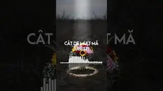 CÂT DE MULT MĂ IUBEȘTI? ✨ (Piesă de iubire)