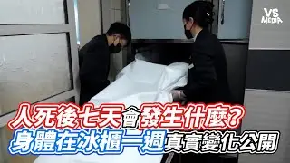 人死後七天會發生什麼？身體在冰櫃一週真實變化公開｜VS MEDIAｘ@bottom9