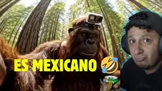 EL LOCO MARRON de Tiktok 🤣🦍