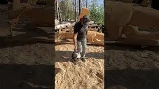 360 huge air #art #chainsawcarving #woodworking #juggling #chainsaw #spirit #wildthing #wood #yes