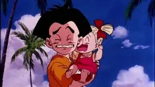 Dragon Ball Z DVD Extra Orange Bricks