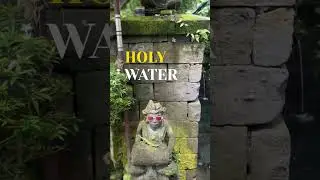 Tegenungan Waterfall Bali &ndash; Don&rsquo;t Go Without Watching This! 🌊🇮🇩 #bali #
