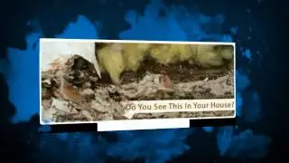 Mold Testing Newark NJ