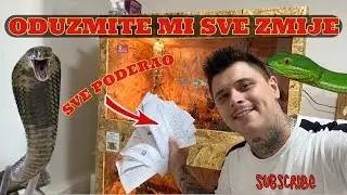 OPET KAZNA EVO ŠTA SAM PORUČIO INSPEKCIJI I PRIJAVITELJIMA