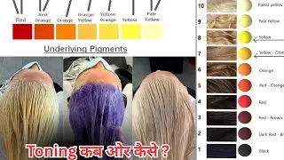No More Brassy Hair !Hair Toning Masterclass (Step-by-Step) Salonfact 