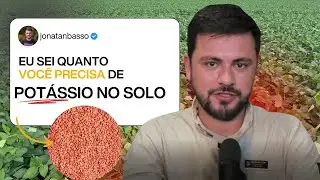 Quanto de POTÁSSIO você precisa em um ano?