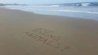 Surf's up cover (original by Brian Wilson / Beach Boys), by Pianomike