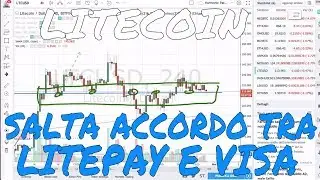 Accordo Litepay-VISA saltato: Servono davvero le Carte di Credito per le Criptovalute?