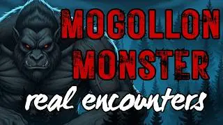 Mogollon Monster: 3 True Encounters Revealing Arizona's Elusive Bigfoot
