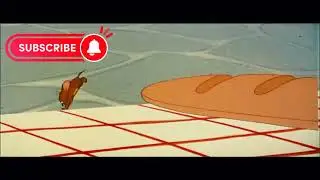 Tom and Jerry | Source of Fun | Love Distraction
