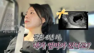 3개월 만에 돌아온 브이로그｜임신 16주차의 일상: 미국 장보기, 연말 데이트, 새해 떡국 만들기