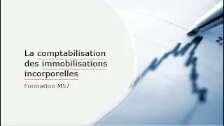 M57 et immobilisations incorporelles. Comment les comptabiliser ?