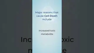 Factors that can Contribute to Cell Death #primarycells #cellculture #research