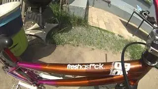 Leafcycles Ruler Pro