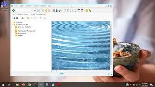 Before Your First ERPsim Manufacturing Game