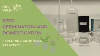 Seed Germination and Domestication - Exploring Crop Wild Relatives