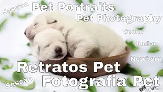 Pet Newborn Photography / Pet Senior Portraits / Intro || Studio Ouraart ||
