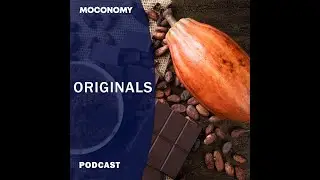 Who Controls Prices in the Global Chocolate Trade? | Moconomy Originals
