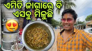 ଏମିତି ଜାଗାରେ ଏସବୁ ଜିନିଷ ଦେଖି ଟିକେ Shock ଲାଗିଲା😱||Barsha Sahu Lifestyle
