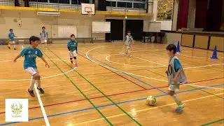 Astera #24