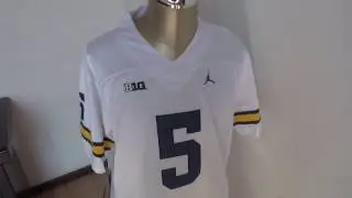 cheap nfl jerseys free shipping   Michigan Wolverines White #5 peppers  from nikeshoesonsale.ru