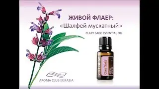 Вебинар  &laquo;Живой флаер  Шалфей  Clary Sage&raquo;