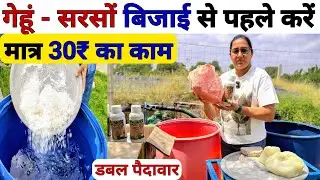 खेती में तूफानी पैदावार🤑मात्र 30₹ मे| fitkari ke upyog | alum uses in farming | Sarso ki kheti | npk