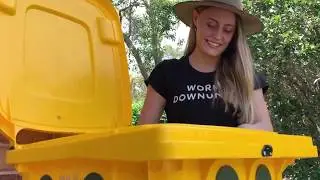 Worm Farm Tips: Moisture Levels - The Squeeze Test