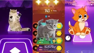 cat - tiles hop- cat meow- 🐈- cute cat edm rush