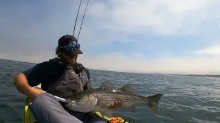 Kayak Fishing for Striped Bass on the Long Island Sound