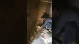 Gaon ki ek simple si dincharya | Mini Vlog #shorts#minivlog#villagelife#gaonkilife#dailyroutine