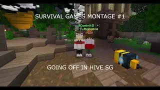 The Best Polish Hive SG player | Hive Survival Games Montage